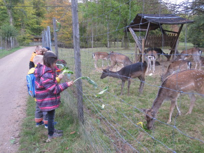 aussenbild3