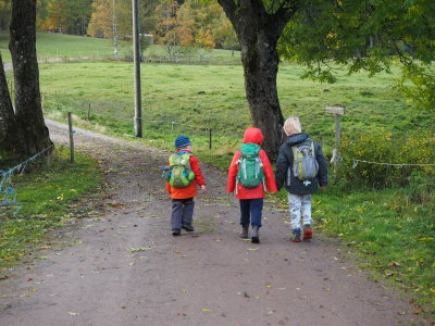 titelbild